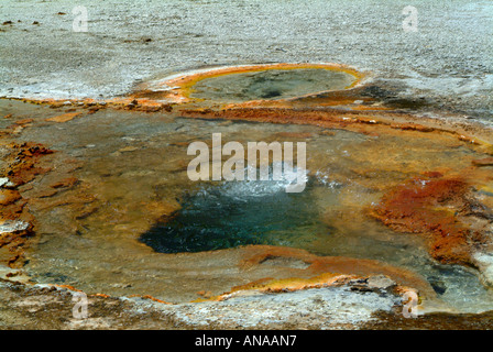 Nahaufnahme von Run-Off Bereich in der Nähe von Emerald Pool bei Midway Geysir-Becken im Yellowstone National Park in Wyoming USA Stockfoto