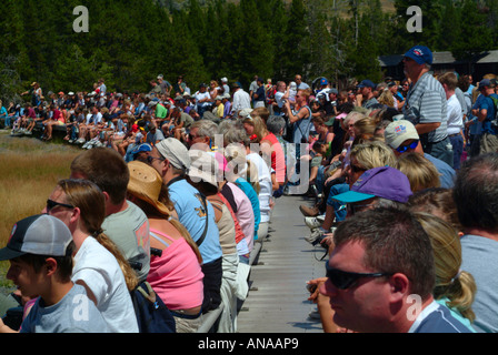 Große Schar von Menschen sitzen auf Bänken warten auf Old Faithful Geysir im Yellowstone National Park in Wyoming USA ausbrechen Stockfoto