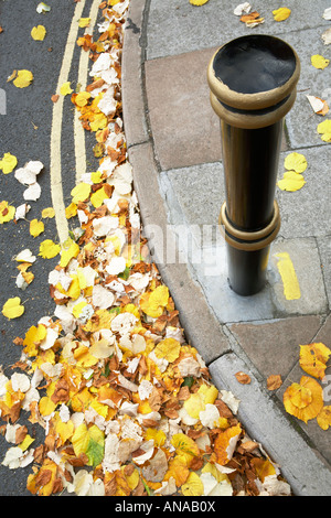 Kerb mit doppelten gelben Linien teilweise gefallenen Herbst fallenden Blätter in Exeter City, England, UK Stockfoto