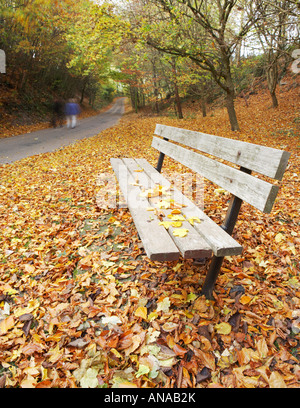 Ländliche Bank im herbstlichen Dorset England UK Stockfoto