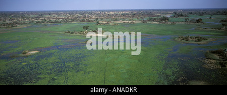 Eine Luftaufnahme des Labyrinthine Wasserstraßen, Auen und Palmen Inseln im Okavangodelta Stockfoto