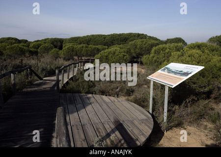 Coto Donana Nationalpark Spaniens Acebuche Visitor Center Laguna de Los Pájaros Häute Stockfoto