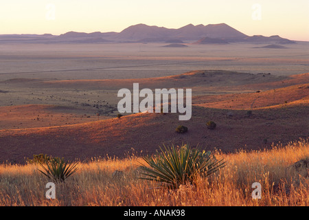 Marfa Plain, Ansicht vom Park Scenic Drive bei Sonnenaufgang, Davis Mountains State Park, Texas, USA Stockfoto