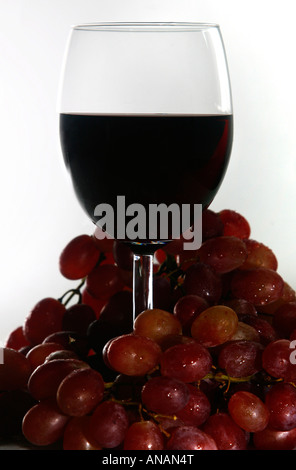 Glas des französischen Rotwein Beaujolais von Trauben umgeben Stockfoto