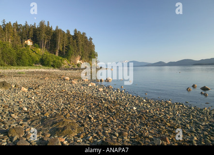 Küstenlinie auf dem inneren Durchgang in der Nähe von Juneau Alaska USA Stockfoto