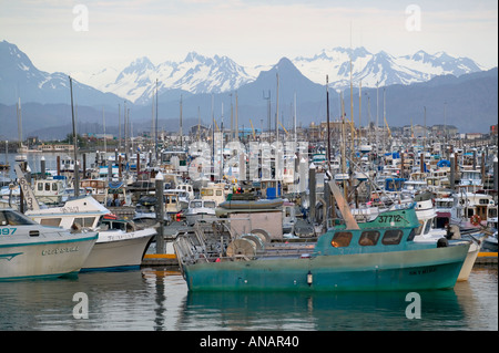 Der kleine Bootshafen am Homer Spit Homer Alaska USA Stockfoto