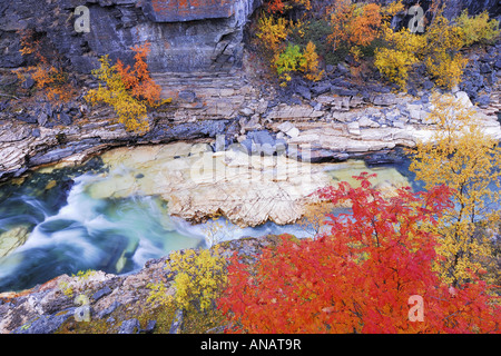 Herbstlandschaft im Abisko-Canyon mit Abiskojakka Fluss, Schweden, Lappland, Abisko Nationalpark, Norrbotten Stockfoto