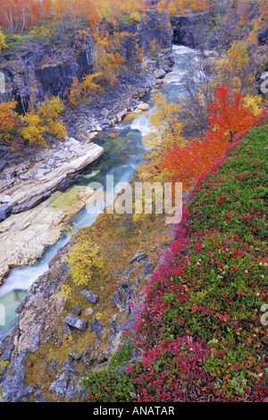 Herbstlandschaft im Abisko-Canyon mit Abiskojakka Fluss, Schweden, Lappland, Abisko Nationalpark, Norrbotten Stockfoto