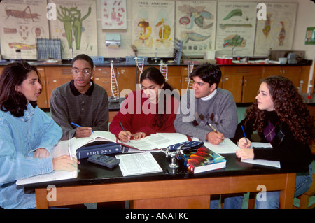 New Jersey, Englewood, High School, Campus, Studenten Bildung Schüler Schüler, Science Lab, Studenten Bildung Schüler Jugend, Projekt diskutieren, Bla Stockfoto