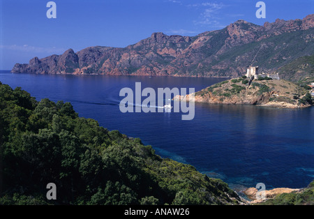 Bucht von Girolata, Corsica Stockfoto