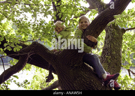 jungen und Mädchen in einem Baum klettern Stockfoto