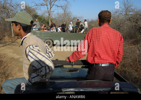 Führer auf der Suche nach Tiger in Ranthambhore Tiger Park. Indien Stockfoto