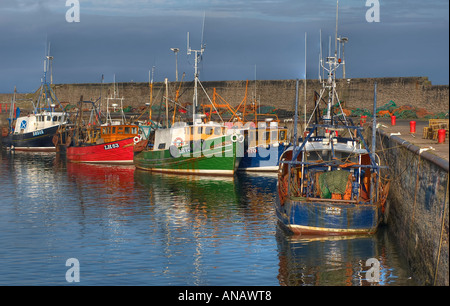 Angelboote/Fischerboote im Hafen Seton Hafen, East Lothian, Schottland Stockfoto