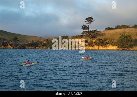 Canoists in einer Bucht auf der Halbinsel Otago, Südinsel, Neuseeland Stockfoto