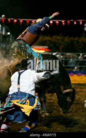 Bullenreiten Mt Isa Stockfoto