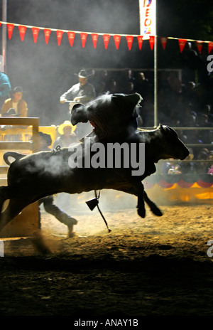 Bullenreiten Mt Isa Stockfoto