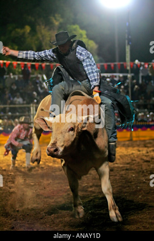 Bullenreiten Mt Isa Stockfoto