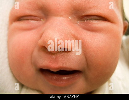 Neugeborenes Baby weint Stockfoto