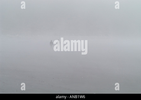 Kinderwagen im Nebel auf der Victory Beach, South Island, Neuseeland Stockfoto