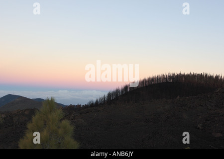 Blick über Erjos und Los Gigantes Klippen im Morgengrauen aus der Las Canadas del Teide Nationalpark Teneriffa Kanaren Spanien Stockfoto