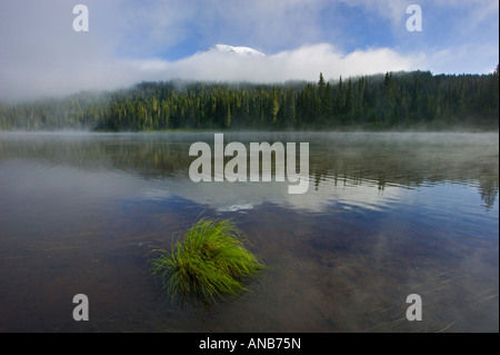 Mt. Rainier reflection Stockfoto