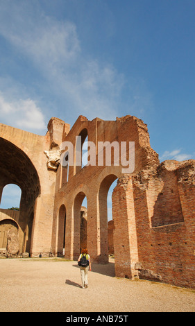 Basilika des Maxentius und Konstantin (Basilica Nova), Forum Romanum, Rom, Italien Stockfoto