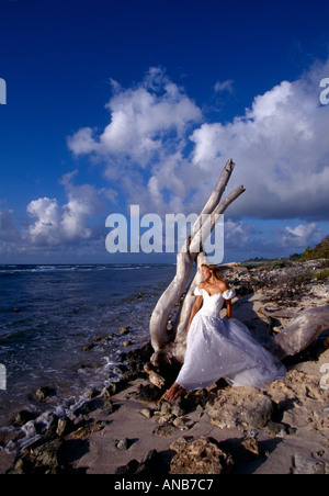 Kaimaninseln Cayman Brac Frau lehnt sich auf Treibholz Baum im Hochzeitskleid am Wasser s Rand Stockfoto