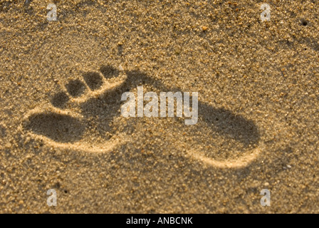 Ein Fußabdruck im sand Stockfoto