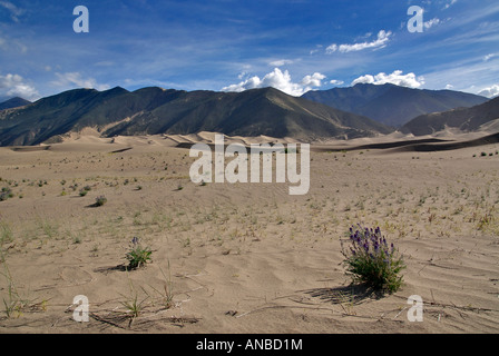 Trockene Landschaft zwischen Tsetang und Samye Kloster Tibets Stockfoto