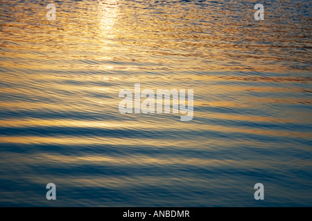 Goldene Wellen an einem See bei Sonnenuntergang. Indien Stockfoto