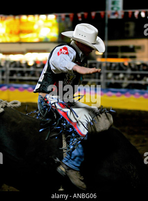 Bullenreiten Mt Isa Stockfoto