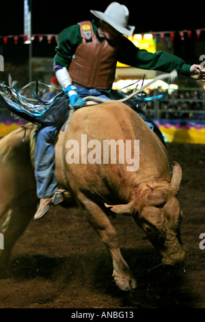 Bullenreiten Mt Isa Stockfoto