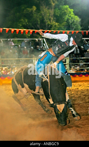 Bullenreiten Mt Isa Stockfoto