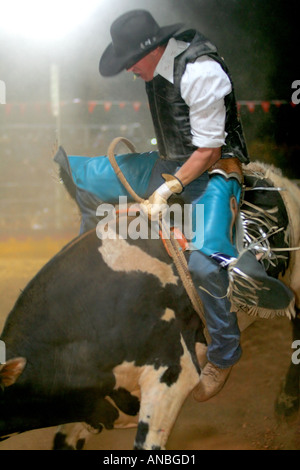 Bullenreiten Mt Isa Stockfoto