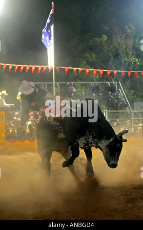 Bullenreiten Mt Isa Stockfoto