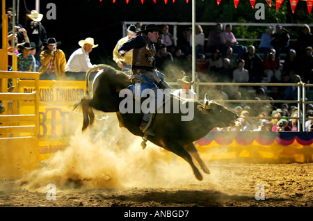 Bullenreiten Mt Isa Stockfoto