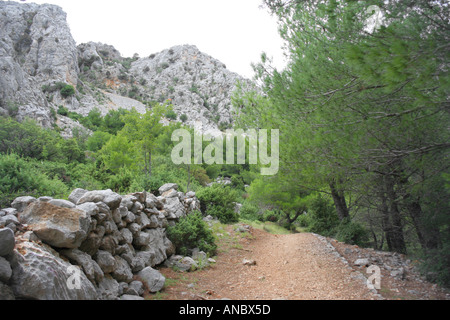 Mala Paklenica Canyon in Kroatien Stockfoto