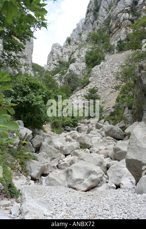 Mala Paklenica Canyon in Kroatien Stockfoto