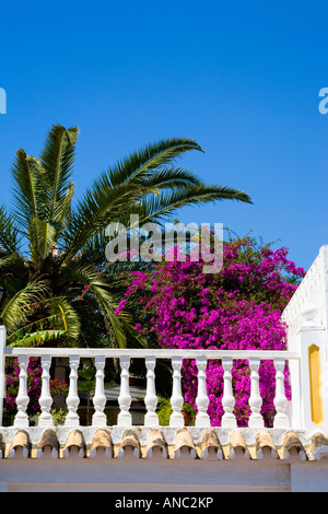 Palm Tree und lila Bougainvillea über weiße Balustrade im Süden Spaniens Stockfoto