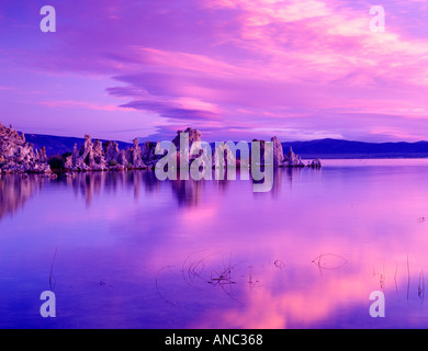 M00335M Tiff Sonnenaufgang am Mono Lake Kalifornien Stockfoto