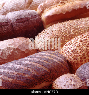 Verschiedene Arten von sortierten frisch gebackenes Brot Brote essentiell für ein gesundes Frühstück Stockfoto