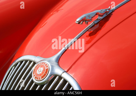 Nahaufnahme von der Motorhaube Ornament auf einem Jaguar XK150 Stockfoto