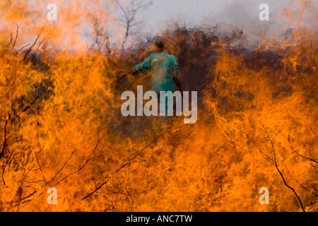 Ein Feuer-Arbeiter ist eingerahmt von einem kontrollierten Feuer Stockfoto