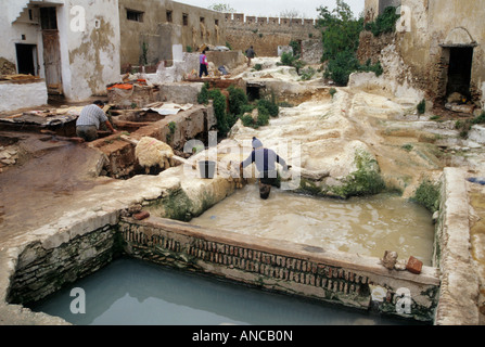 Gerber-Viertel-Medina in Tetouan Marokko Stockfoto