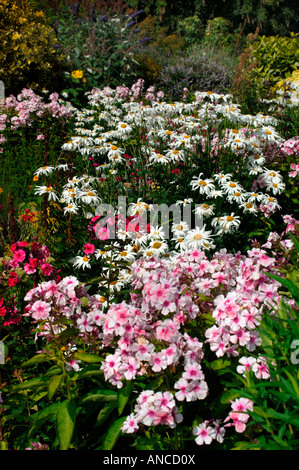 Eine bunte Anzeige von Blumen, In einen englischen Landschaftsgarten. Stockfoto