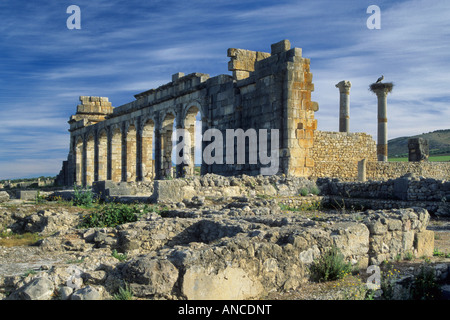 Roman Basilica Ruinen von Volubilis Marokko Stockfoto