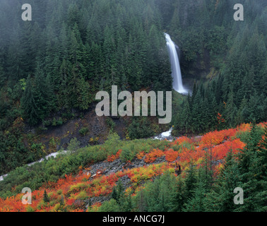 WA, Mt. Rainier NP, Martha fällt mit Herbst Farbe in Stevens Canyon Stockfoto