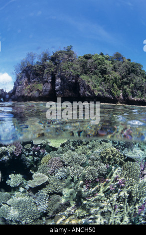 Unberührten Korallenriff Split shot Milne Bay Papua New Guinea Stockfoto
