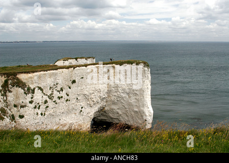 Old Harry Rocks, Swanage, Dorset, England, UK Stockfoto