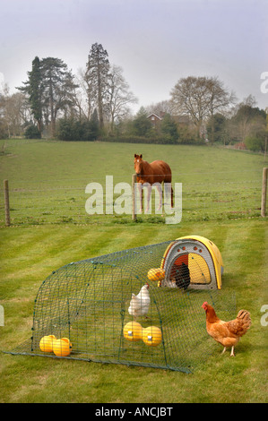 OMLET EGLU CHICKEN HOUSE UK 2007 Stockfoto